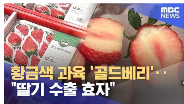 스크린샷 2025-12-14 오후 6.46.09.png