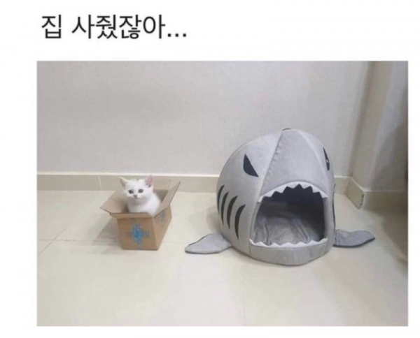 스크린샷 2025-12-17 오후 6.40.16.png