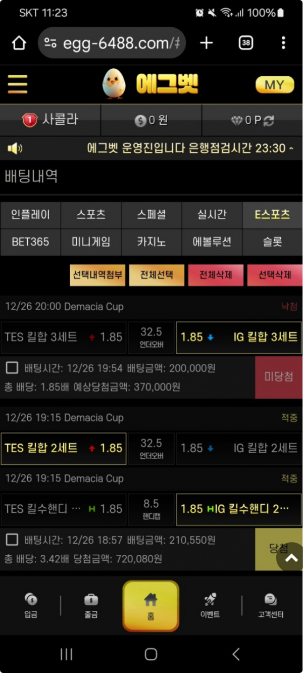 에그벳.png