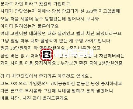 라쿤.jpg