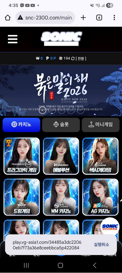 소닉.png