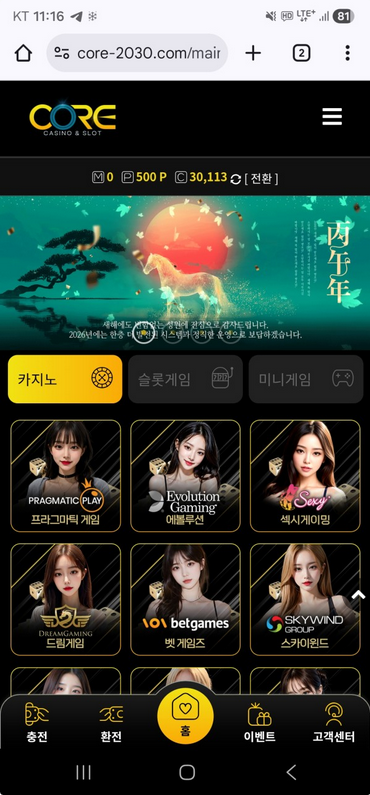 코어.png
