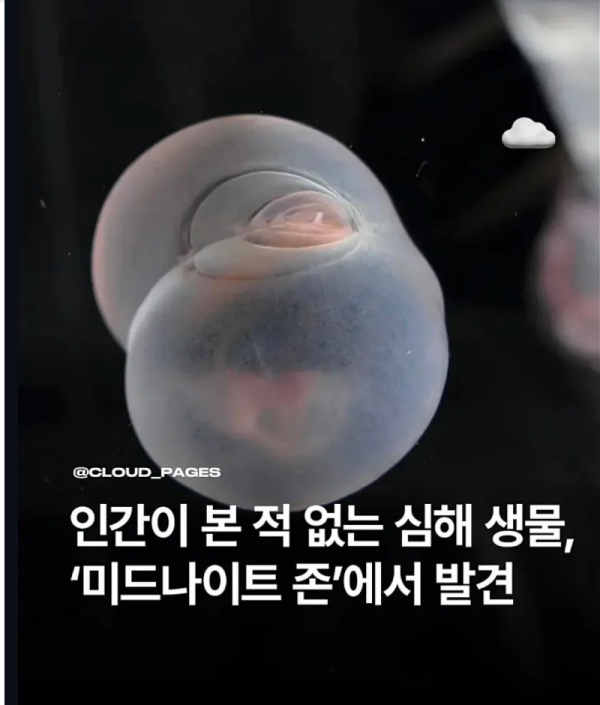 스크린샷 2026-01-12 오후 6.10.54.png