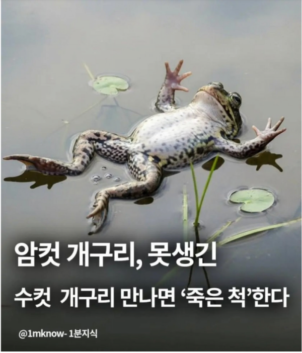 스크린샷 2026-01-12 오후 8.26.30.png