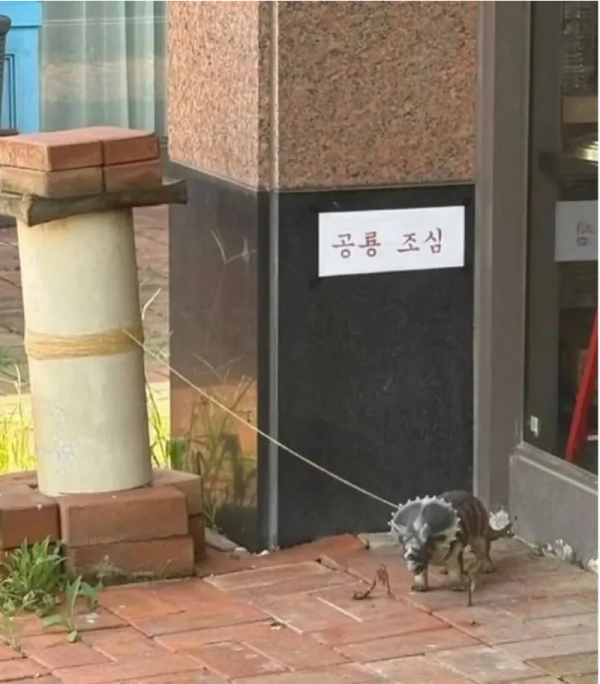 스크린샷 2026-01-27 오후 5.43.15.png
