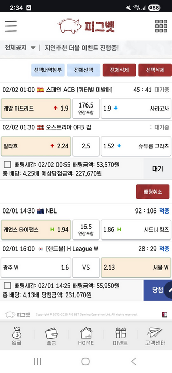 피그벳.png
