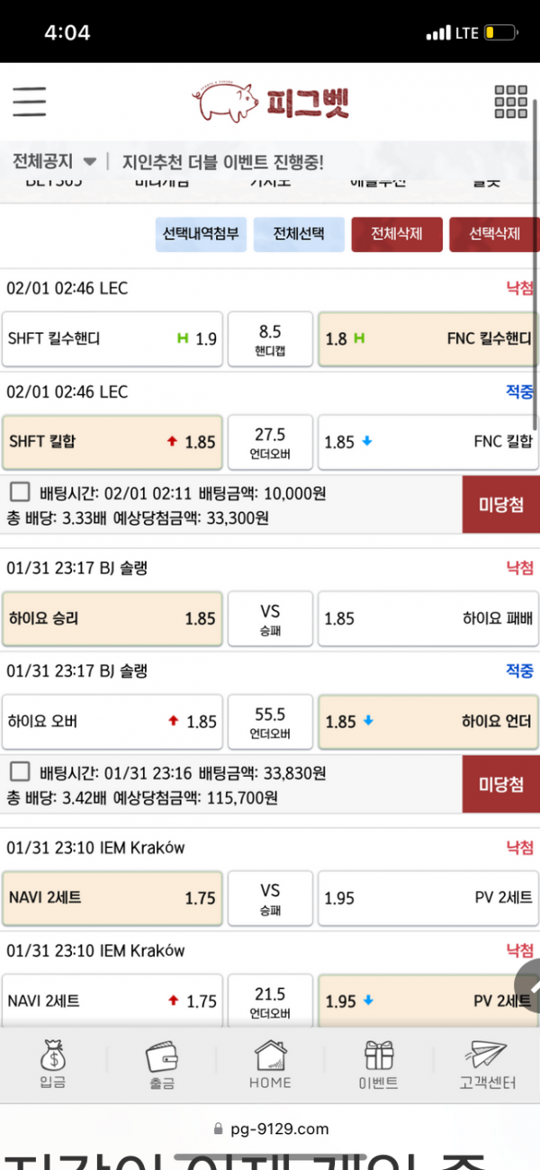 피그벳.png