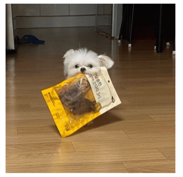 스크린샷 2026-02-02 오전 12.41.51.png