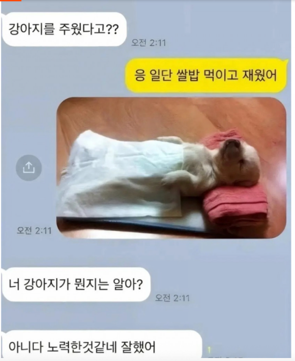 스크린샷 2026-02-02 오전 12.55.35.png