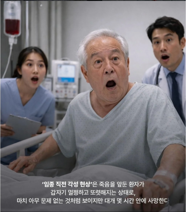 스크린샷 2026-02-15 오후 10.56.35.png
