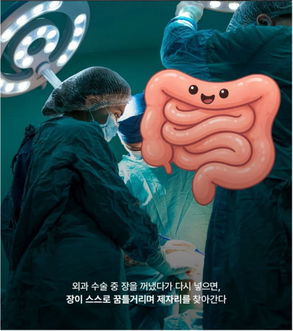스크린샷 2026-02-15 오후 10.56.42.png