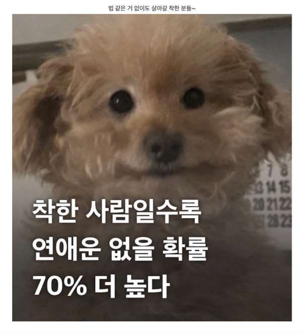 스크린샷 2026-02-15 오후 10.57.36.png