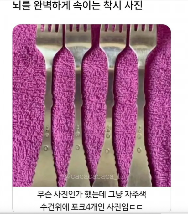 스크린샷 2026-02-17 오전 3.01.53.png