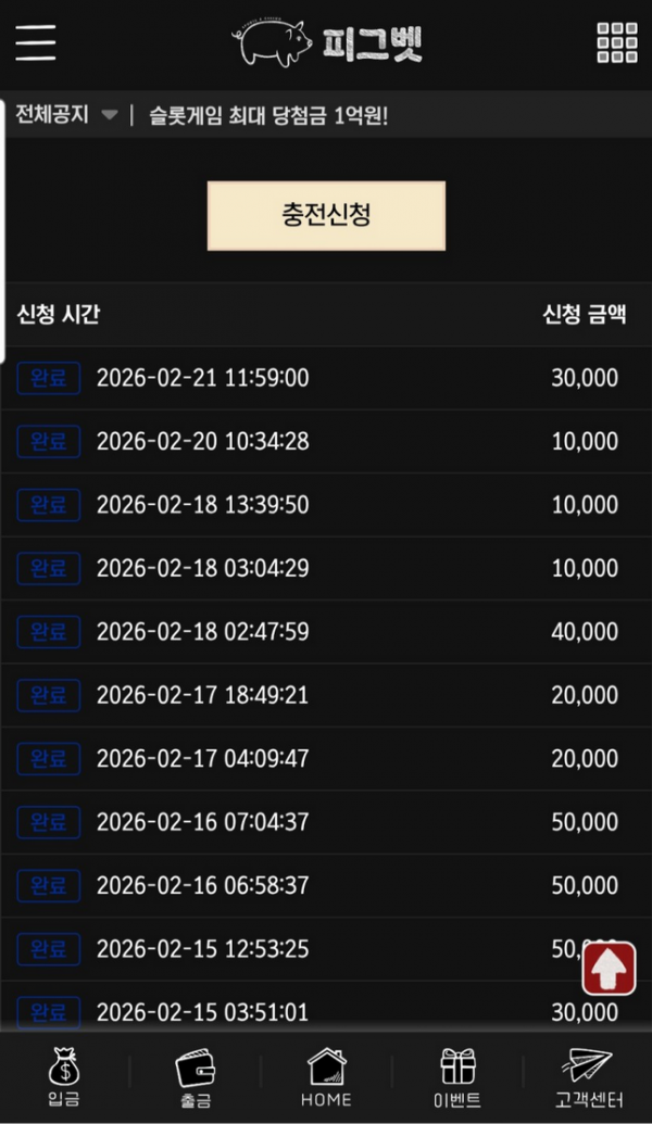 피그벳.png