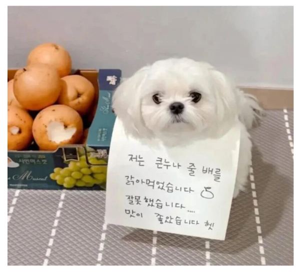 스크린샷 2026-02-18 오전 5.10.03.png