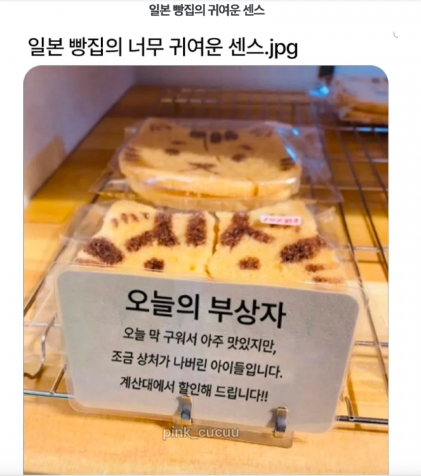 스크린샷 2026-02-19 오후 5.07.47.png