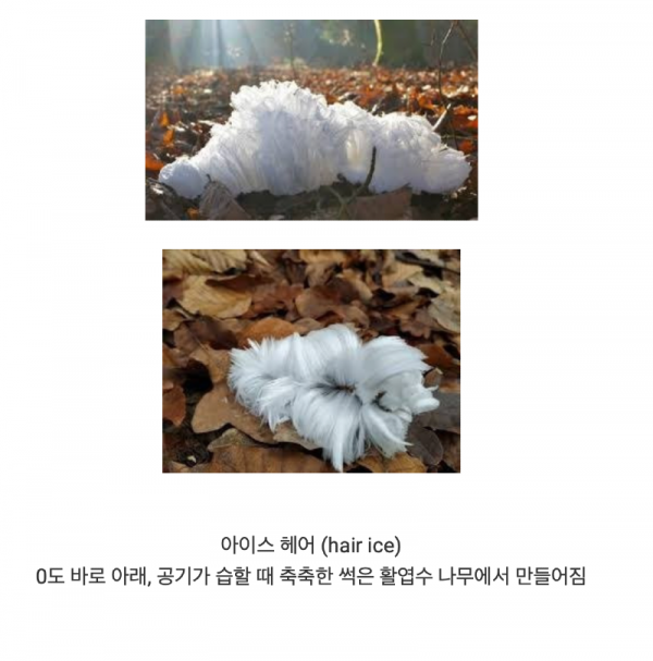 스크린샷 2026-02-25 오후 7.09.17.png