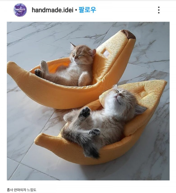 스크린샷 2026-03-02 오후 6.42.57.png