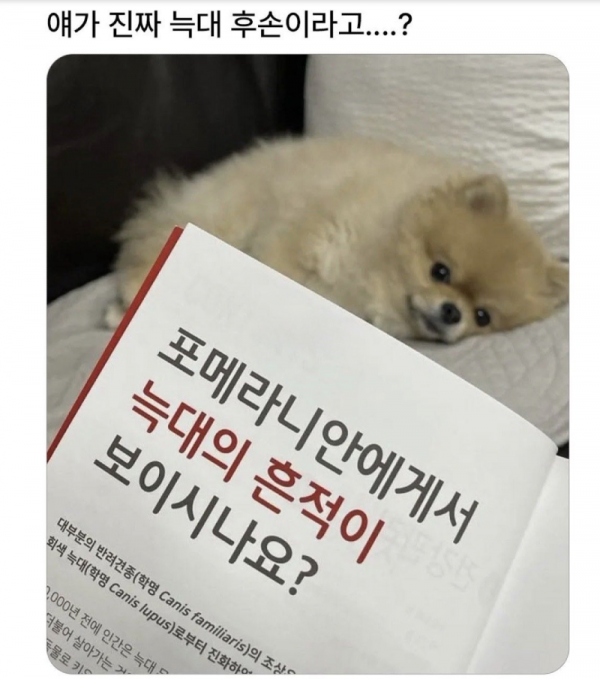 스크린샷 2026-03-09 오전 5.05.21.png