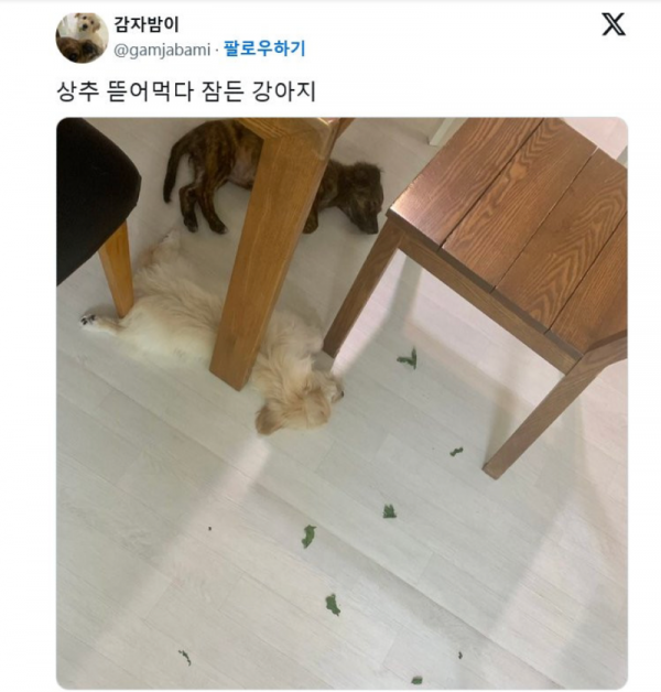 스크린샷 2026-03-09 오전 5.21.34.png