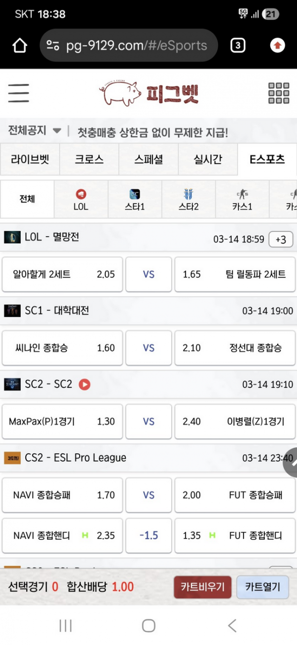 피그벳.png