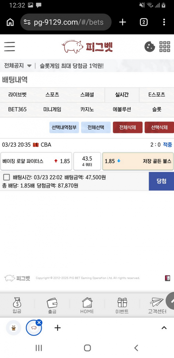 피그벳.png