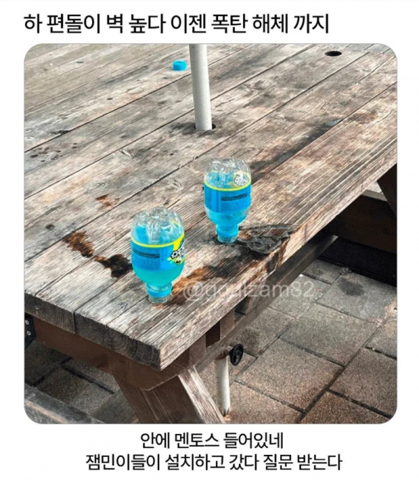 스크린샷 2026-04-01 오전 12.24.01.png