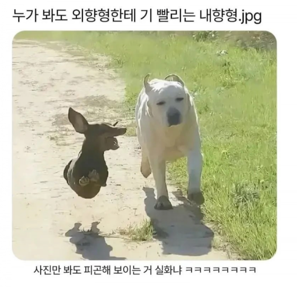 스크린샷 2026-04-04 오전 6.07.00.png