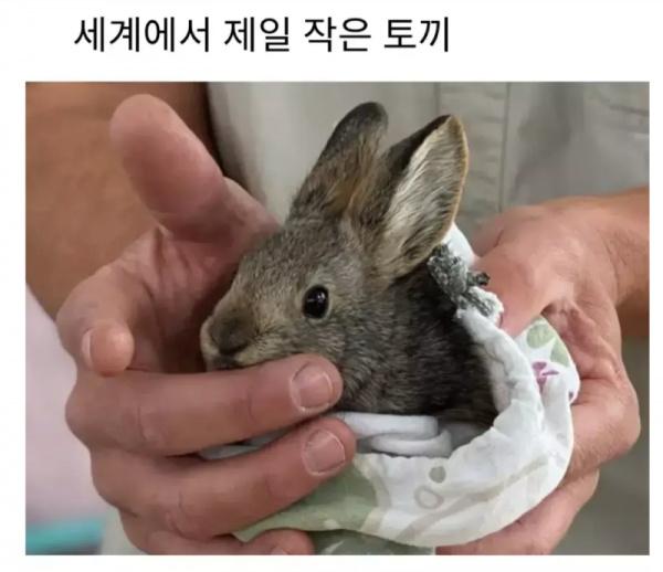 스크린샷 2026-04-04 오전 6.08.20.png