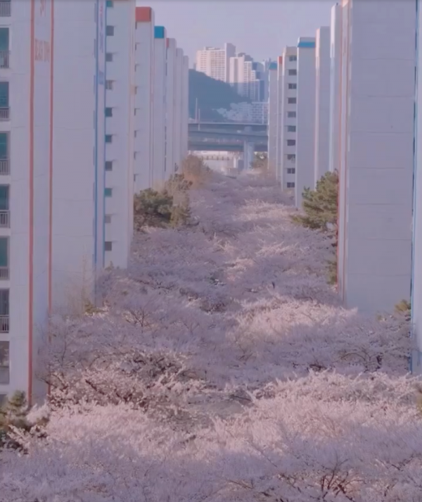스크린샷 2026-04-04 오전 6.18.56.png