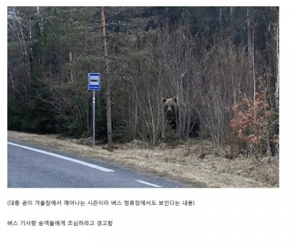 스크린샷 2026-04-05 오전 2.20.59.png