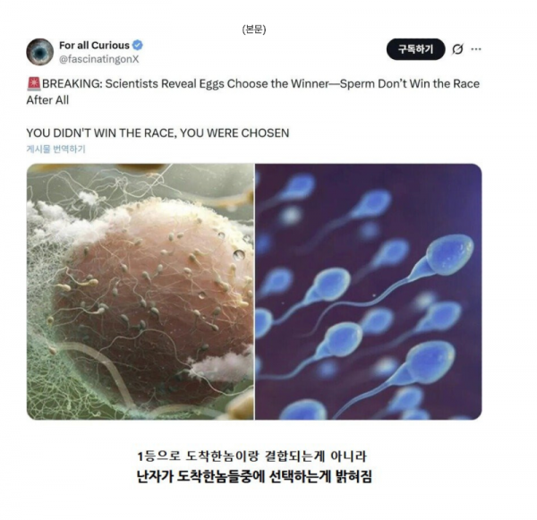 스크린샷 2026-04-08 오후 7.46.05.png