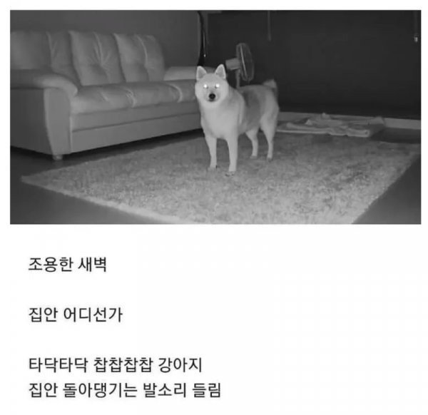 스크린샷 2026-04-12 오전 12.17.13.png