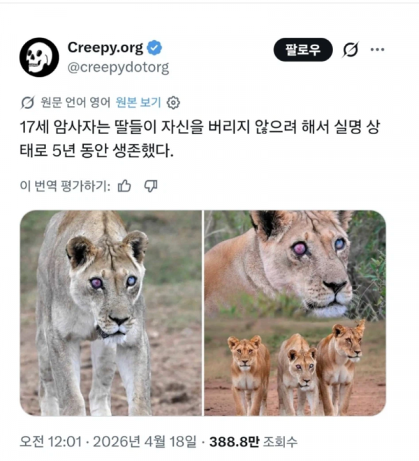 스크린샷 2026-04-26 오전 1.12.16.png