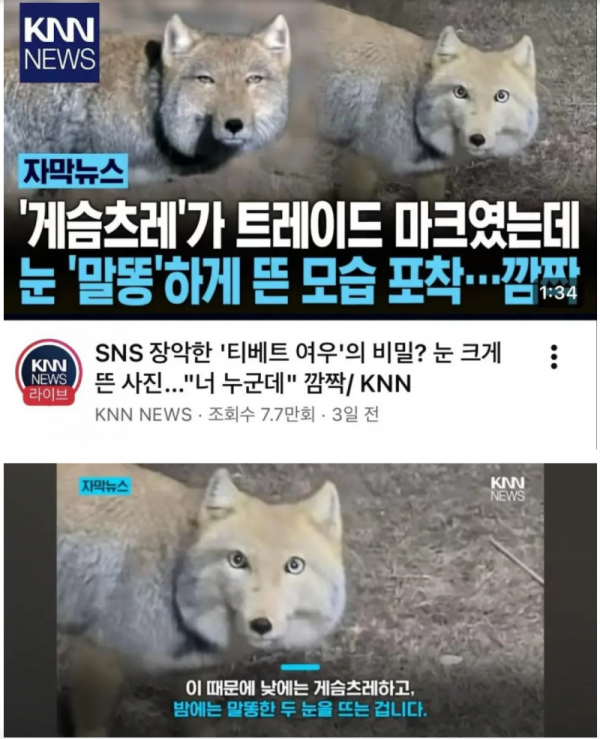 스크린샷 2026-04-26 오전 1.21.10.png