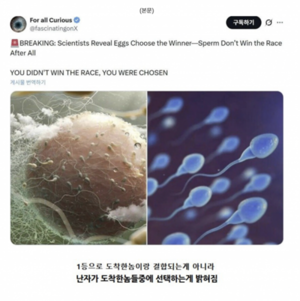 스크린샷 2026-05-03 오후 7.14.11.png