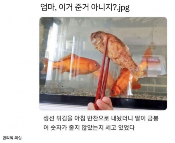 스크린샷 2026-05-10 오후 4.56.31.png