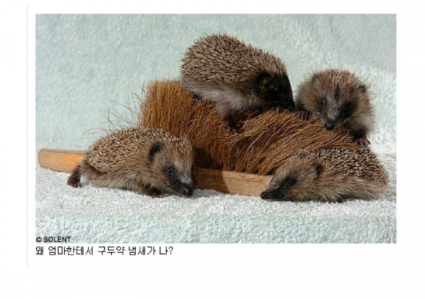 스크린샷 2026-05-10 오후 4.59.58.png