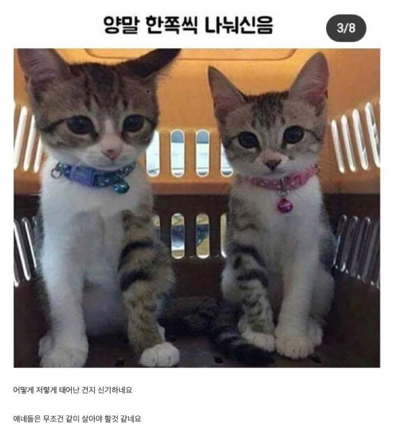 스크린샷 2026-05-24 오전 8.19.14.png