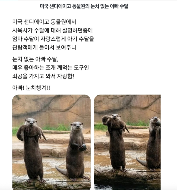 스크린샷 2026-05-24 오전 8.21.31.png