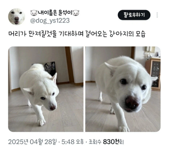 스크린샷 2026-05-30 오후 8.07.37.png