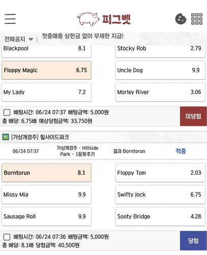 피그벳.png