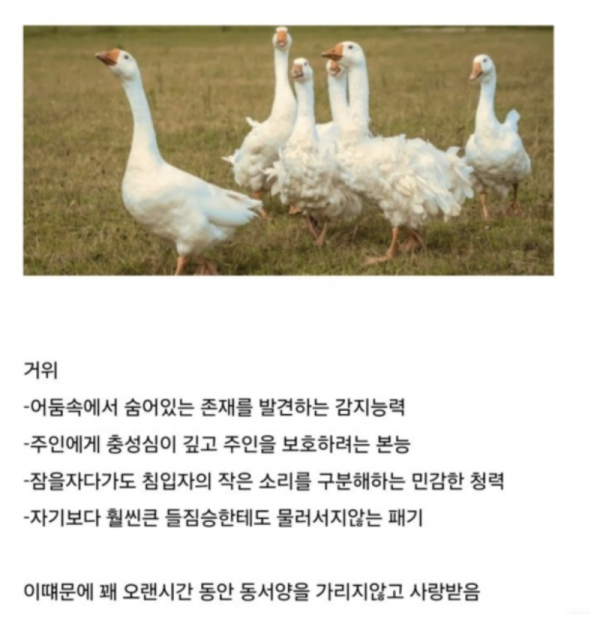 스크린샷 2026-05-31 오후 10.02.02.png