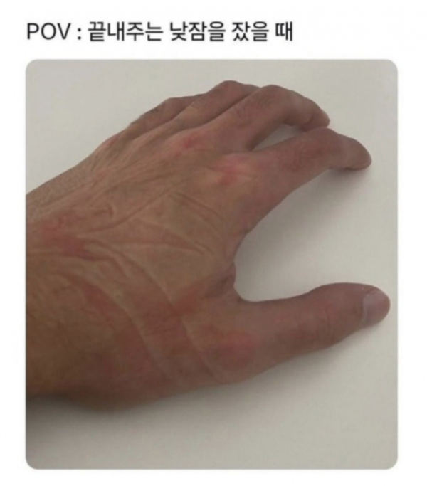 스크린샷 2026-06-02 오후 8.50.41.png