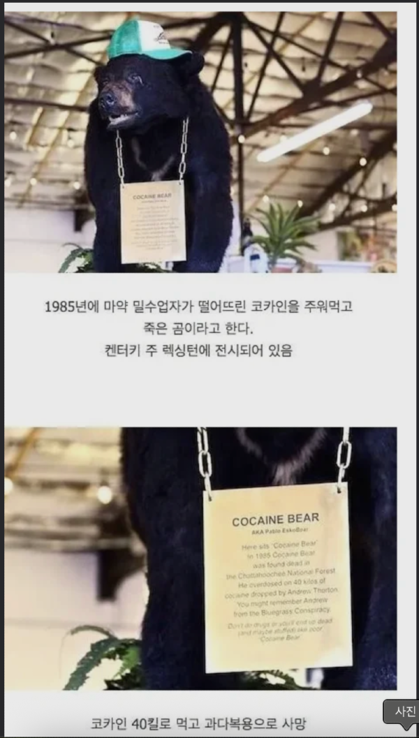 스크린샷 2026-06-15 오후 7.14.36.png