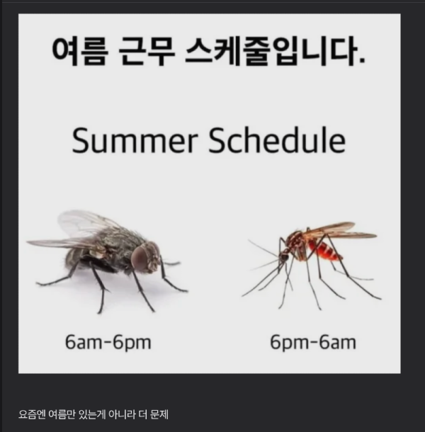 스크린샷 2026-06-15 오후 7.10.40.png