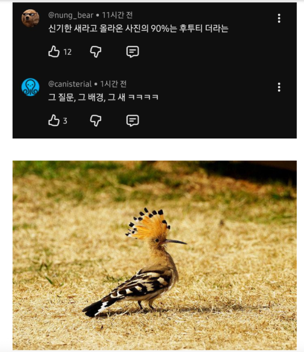 스크린샷 2026-06-16 오후 6.23.11.png