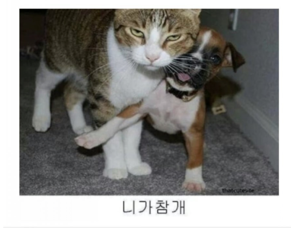 스크린샷 2026-06-22 오후 5.39.32.png
