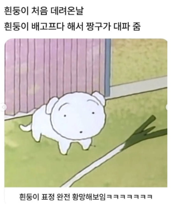 스크린샷 2026-06-23 오후 5.08.11.png