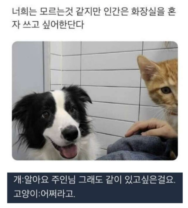 스크린샷 2026-06-30 오후 6.30.29.png